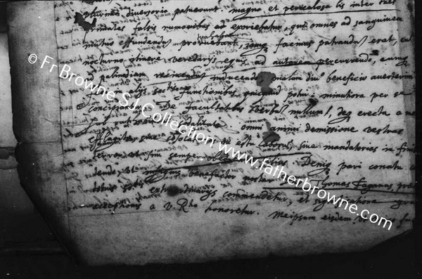 COPY NEGS THE FR.FITZSIMON'S LETTERS COPIED FOR LUDERG BRELER